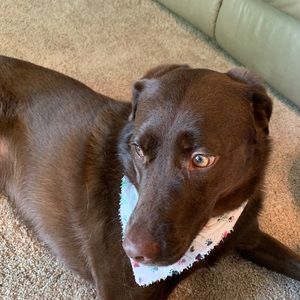 Meet your Posher, Gina